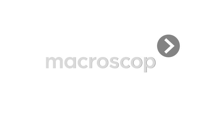 MACROSCOP